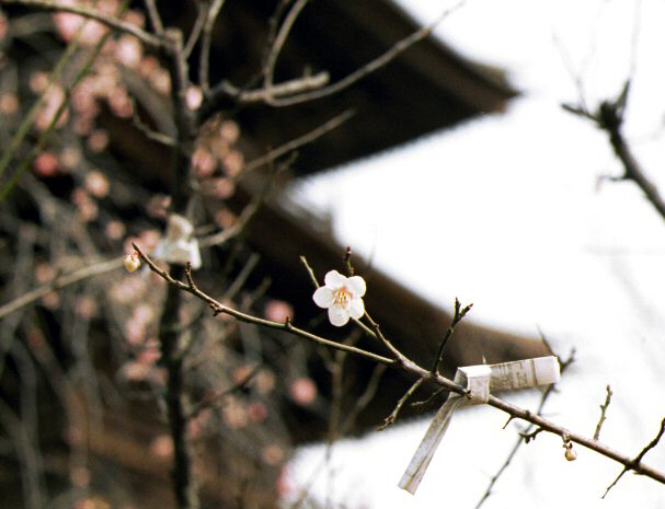 �ω�����